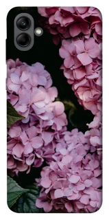 Чохол на Samsung Galaxy A04 Рожеві гартензії фото 1 з 1