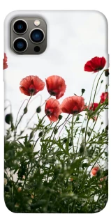 Чохол на Apple iPhone 12 Pro (6.1") Поле маків фото 1 з 1