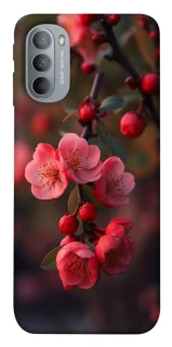 Чехол на Motorola Moto G31 Flowers v28 фото 1 из 1