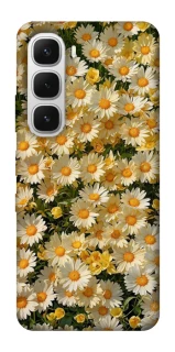 Чохол на Infinix Hot 60i Camomile фото 1 з 1