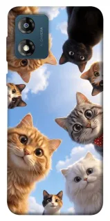 Чехол на Motorola Moto E13 Cats фото 1 из 1