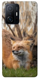 Чехол на Xiaomi 11T / 11T Pro Лиса фото 1 из 1