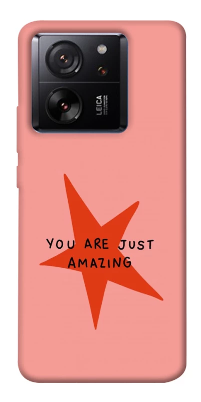 Чохол на Xiaomi 13T Amazing фото 1 з 1