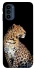 Чохол на Motorola Moto G41 Leopard v2 фото 1 з 1