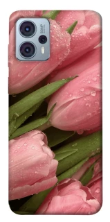 Чохол на Motorola Moto G23 Beauty фото 1 Чохол на Motorola Moto G23 Beauty фото 1 з 1