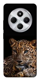 Чохол на Xiaomi Redmi 14C / Poco C75 Leopard v4 фото 1 з 1