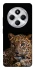 Чехол на Xiaomi Redmi 14C / Poco C75 Leopard v4 фото 1 из 1