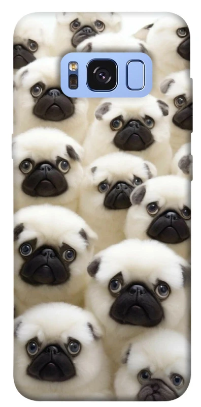 Чохол на Samsung G950 Galaxy S8 Doggy Pug Love фото 1 з 1