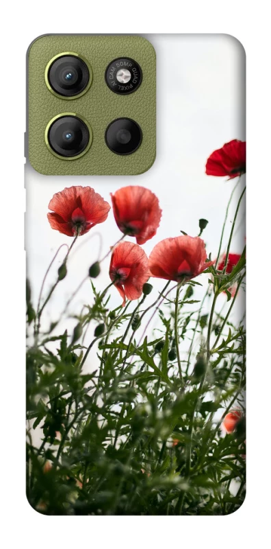 Чохол на Motorola Moto G15 4G Поле маків фото 1 з 1