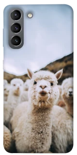 Чохол на Samsung Galaxy S21 Лама фото 1 з 1