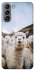 Чохол на Samsung Galaxy S21 Лама фото 1 з 1