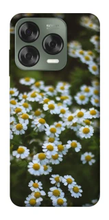 Чехол на ZTE Nubia V70 Design Ромашки v13 фото 1 из 1