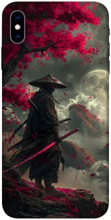 Чохол на Apple iPhone X (5.8") Sakura San фото 1 з 1