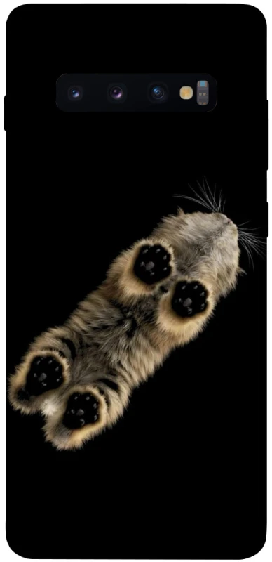 Чохол на Samsung Galaxy S10+ Cat фото 1 з 1