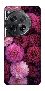 Чехол на OnePlus 12 Garden1 фото 1 из 1