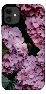 Чохол на Apple iPhone 11 (6.1") Рожеві гартензії фото 1 з 1