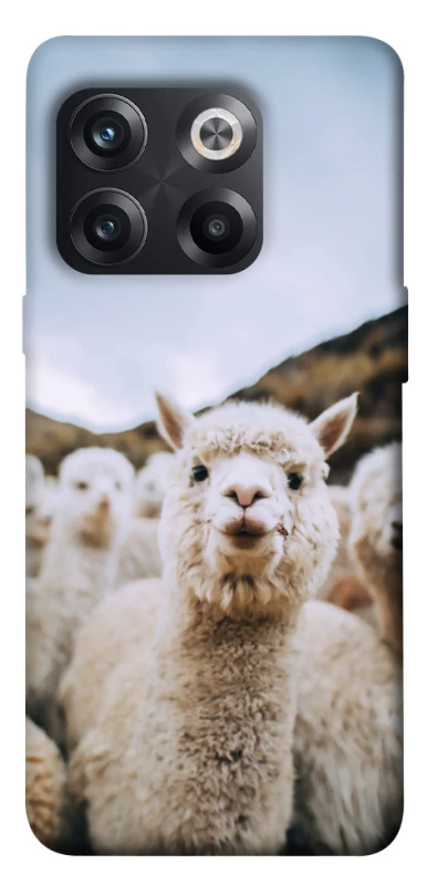 Чохол на OnePlus 10T Лама фото 1 з 1