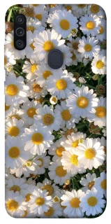 Чохол на Samsung Galaxy M11 Поле ромашок фото 1 Чохол на Samsung Galaxy M11 Поле ромашок фото 1 з 1