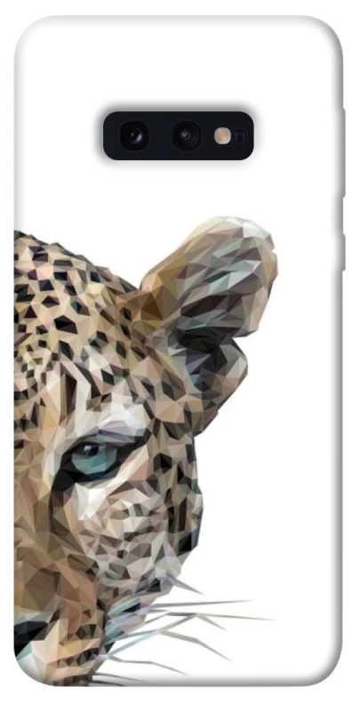 Чохол на Samsung Galaxy S10e Leopard Art v2 фото 1 з 1