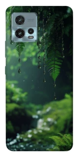 Чехол на Motorola Moto G72 rain forest фото 1 из 1