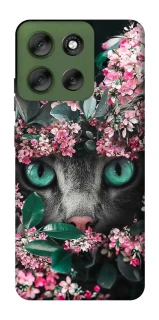 Чохол на Motorola Moto G56 5G Кіт в квітах фото 1 з 1