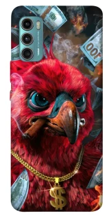 Чехол на Motorola Moto G60 Попугай фото 1 из 1