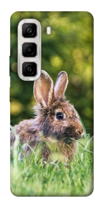 Чехол на Infinix Hot 50 4G Кролики фото 1 из 1