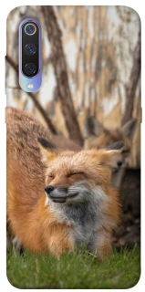 Чохол на Xiaomi Mi 9 Лисиця фото 1 з 1