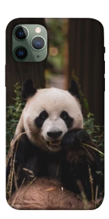 Чохол на Apple iPhone 11 Pro (5.8") Панда фото 1 з 1