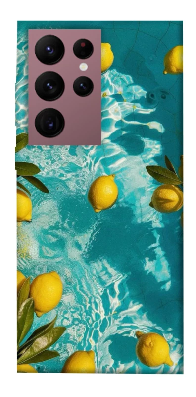 Чохол на Samsung Galaxy S22 Ultra Lemon фото 1 з 1