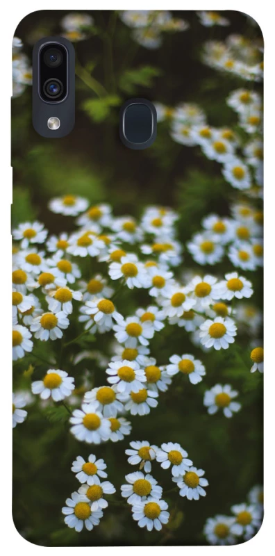 Чехол на Samsung Galaxy A20 / A30 Ромашки v13 фото 1 из 1