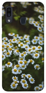 Чехол на Samsung Galaxy A20 / A30 Ромашки v13 фото 1 из 1