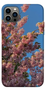 Чохол на Apple iPhone 12 Pro (6.1") Flowers v4 фото 1 з 1