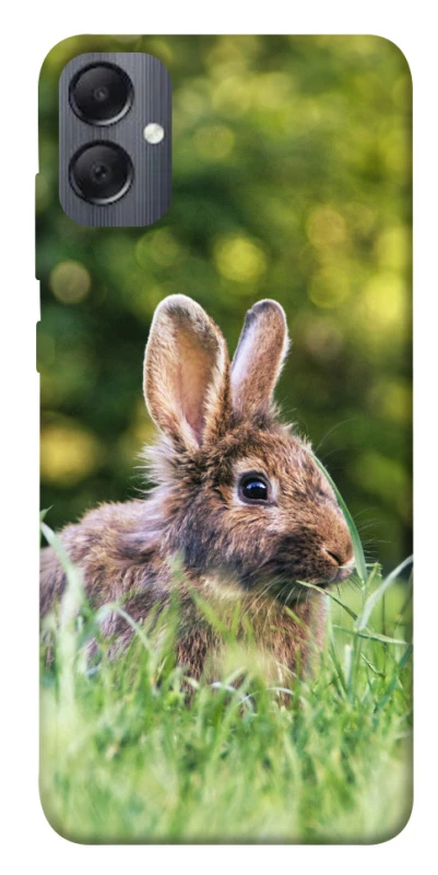 Чехол на Samsung Galaxy A05 Кролики фото 1 из 1