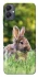 Чехол на Samsung Galaxy A05 Кролики фото 1 из 1