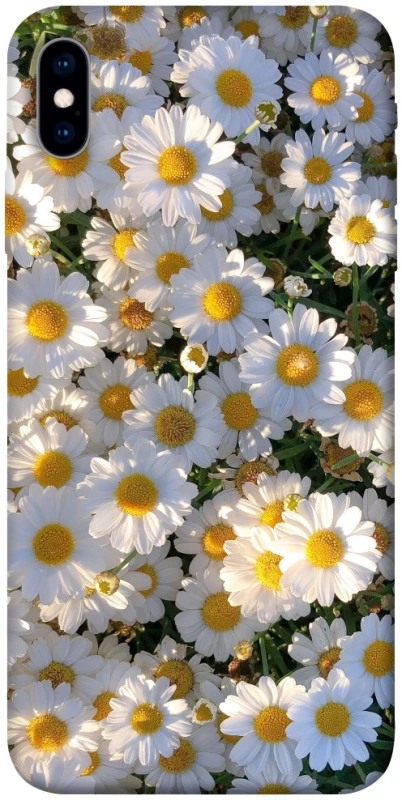 Чохол на Apple iPhone X (5.8") Поле ромашок фото 1 з 1