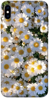 Чохол на Apple iPhone X (5.8") Поле ромашок фото 1 з 1