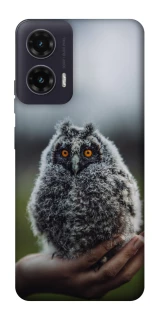 Чехол на Motorola Moto G35 Совёнок фото 1 из 1