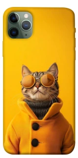 Чохол на Apple iPhone 11 Pro Max (6.5") Yellow Glasses фото 1 з 1