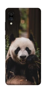 Чехол на ZTE Blade A5 (2020) Панда фото 1 из 1