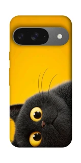 Чохол на Google Pixel 10 This is Cat фото 1 з 1
