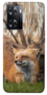 Чехол на Oppo A77s Лиса фото 1 из 1