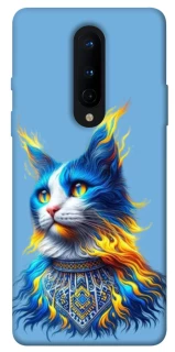 Чохол на OnePlus 8 Кіт патріот фото 1 з 1