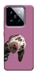 Чохол на Xiaomi 14 Pro А що тут фото 1 з 1