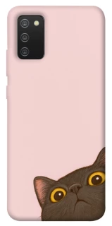Чехол на Samsung Galaxy A02s Peeping cat фото 1 Чехол на Samsung Galaxy A02s Peeping cat фото 1 из 1