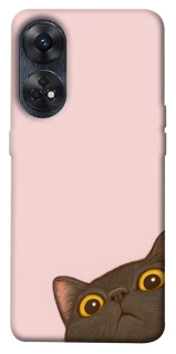 Чохол на Oppo Reno 8T 4G Peeping cat фото 1 з 1