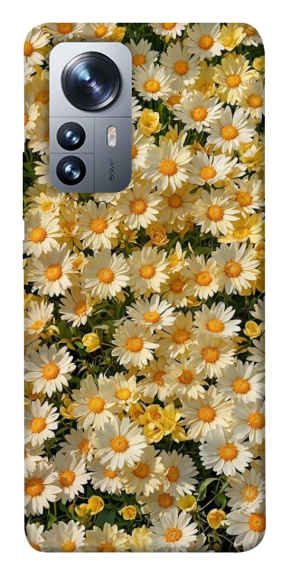 Чохол на Xiaomi 12 / 12X Camomile фото 1 з 1