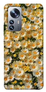 Чехол на Xiaomi 12 / 12X Camomile фото 1 из 1