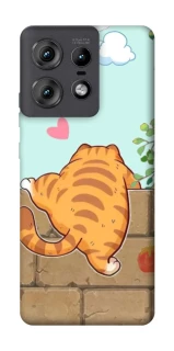 Чехол на Motorola Edge 50 Pro Cat the meow фото 1 Чехол на Motorola Edge 50 Pro Cat the meow фото 1 из 1