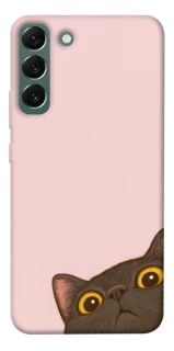 Чехол на Samsung Galaxy S22+ Peeping cat фото 1 из 1